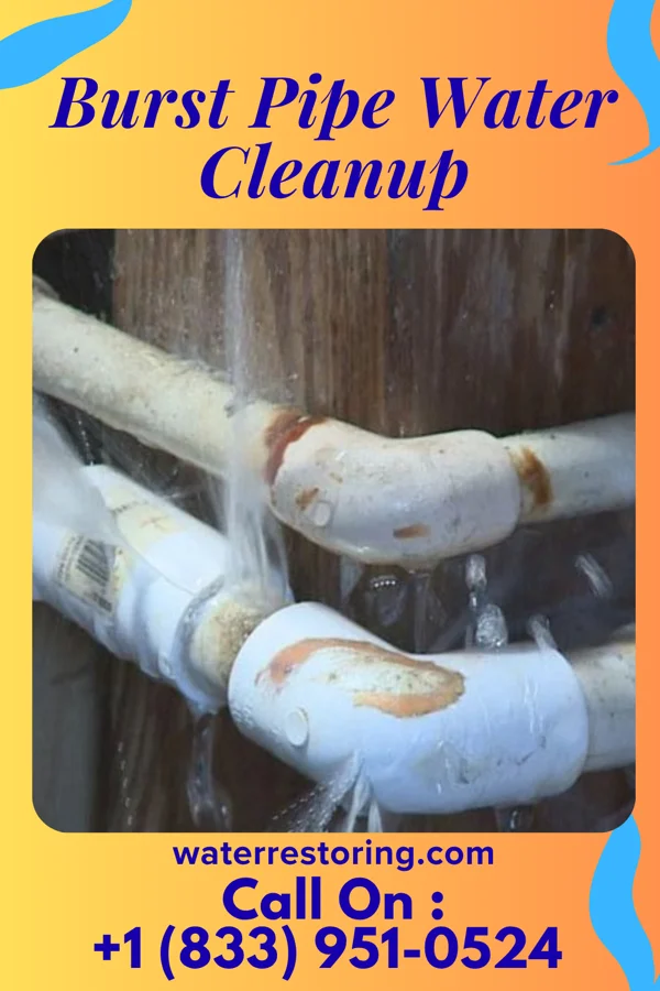 Burst Pipe Water Cleanup in Pegram, TN