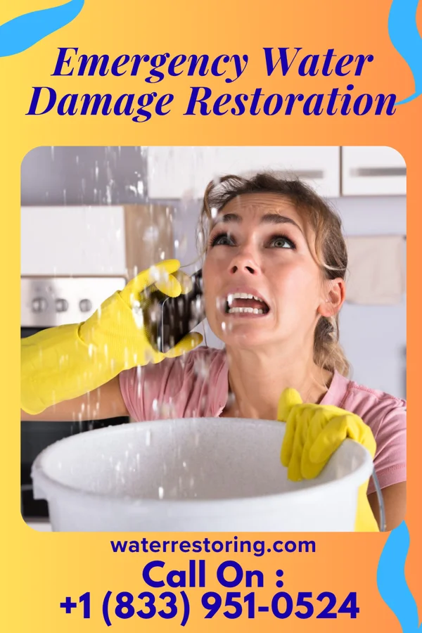 Emergency Water Damage Restoration in Pegram, TN
