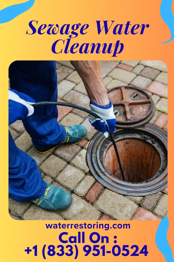Sewage Water Cleanup in Pegram, TN