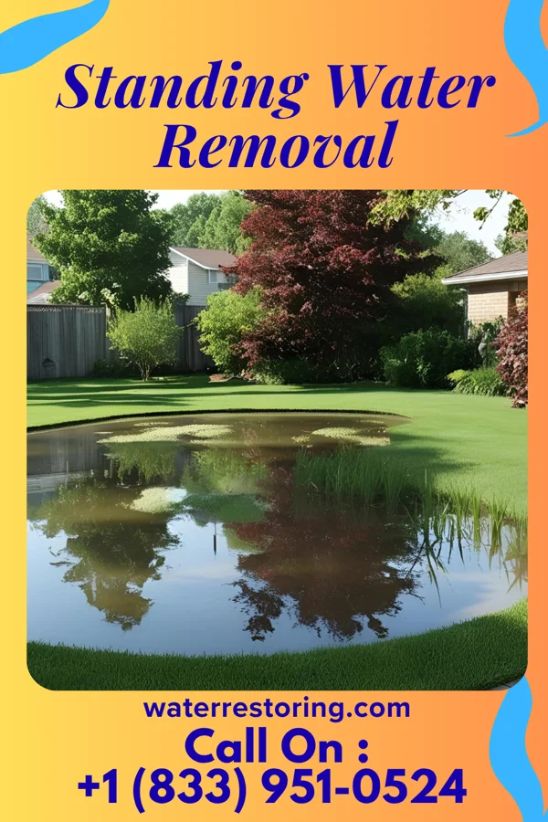 Standing Water Removal in Pegram, TN